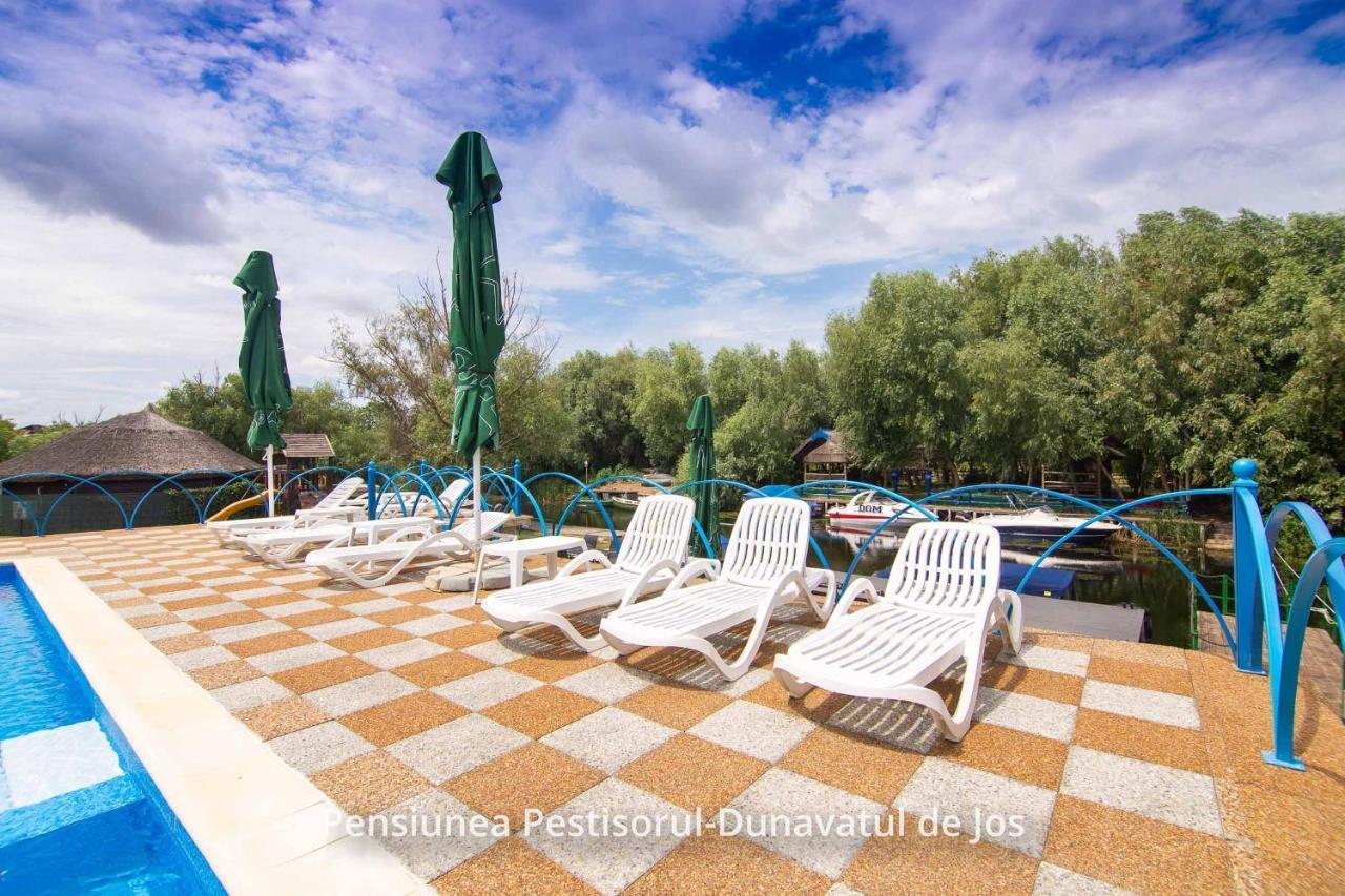 Pensiunea Pestisorul Dunavăţu de Jos Esterno foto