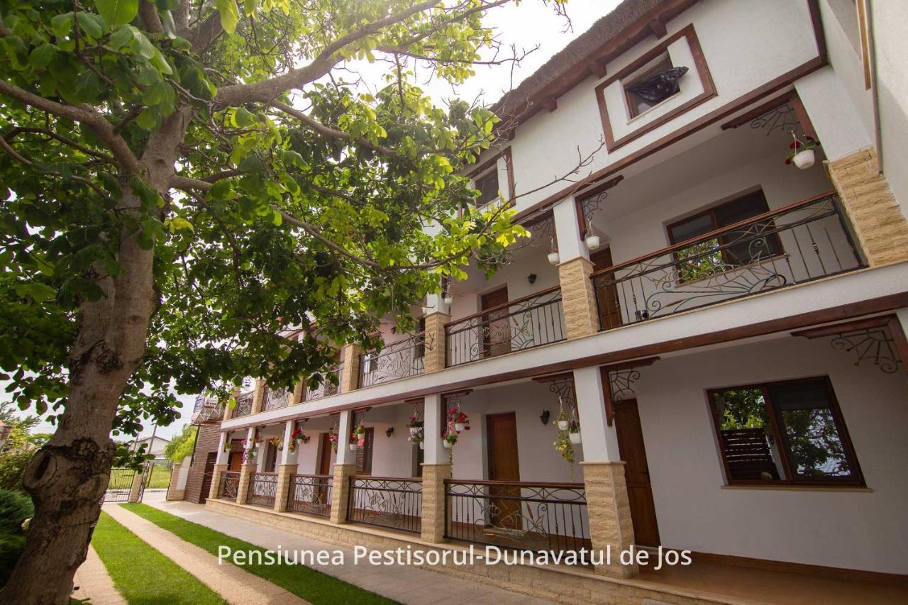 Pensiunea Pestisorul Dunavăţu de Jos Esterno foto