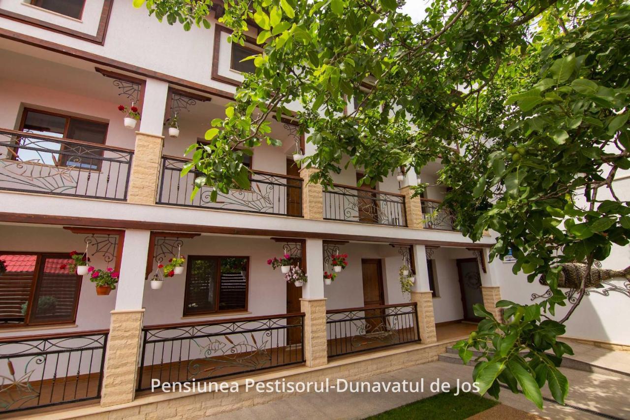 Pensiunea Pestisorul Dunavăţu de Jos Esterno foto
