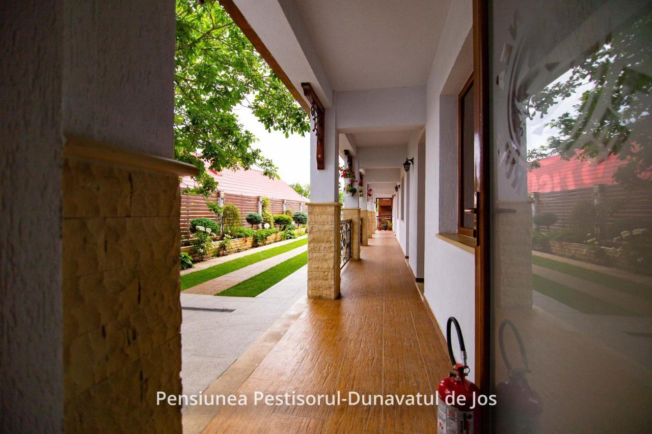 Pensiunea Pestisorul Dunavăţu de Jos Esterno foto