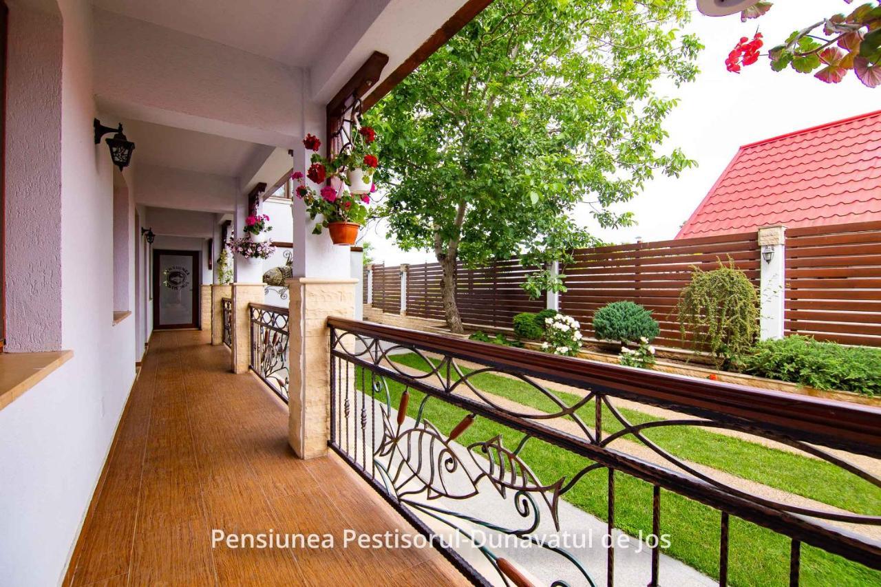 Pensiunea Pestisorul Dunavăţu de Jos Esterno foto